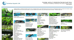 Desktop Screenshot of jelambaraquaticlife.com
